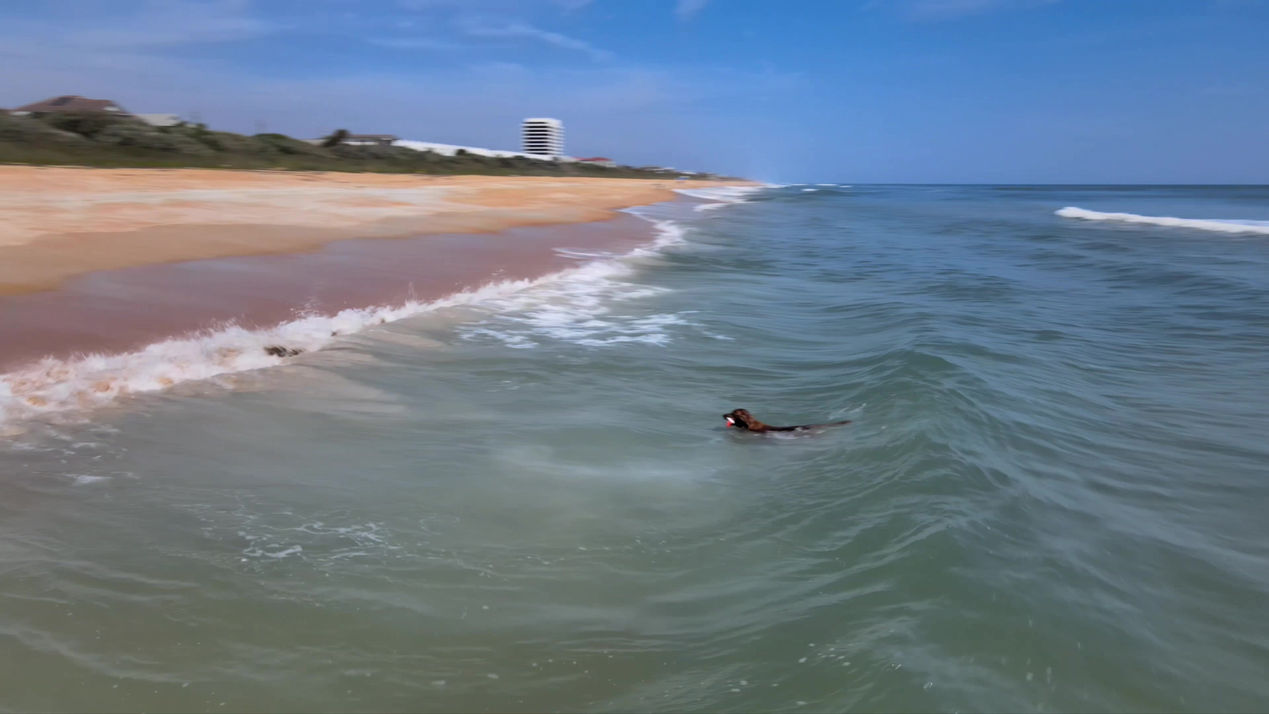 Surfing